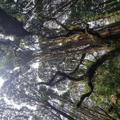 Kilimandżaro – na dachu Afryki