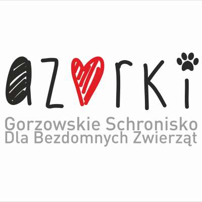 Uczta dla melomanów