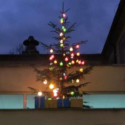 Sulęcin opanowany przez św. Mikołajów